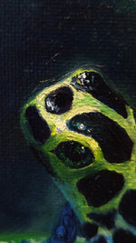 Load image into Gallery viewer, "Awaiting Dinner" Portrait of a Ranitomeya Variabilis Southern || 8x10" Original Oil on Canvas
