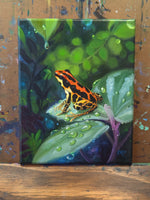 Load image into Gallery viewer, "Gold Legged" Portrait of a Ranitomeya Uakarii Gold Legged Frog || 8x10" Original Oil on Canvas
