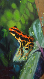 Load image into Gallery viewer, "Gold Legged" Portrait of a Ranitomeya Uakarii Gold Legged Frog || 8x10" Original Oil on Canvas
