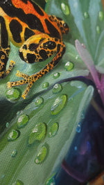 Load image into Gallery viewer, "Gold Legged" Portrait of a Ranitomeya Uakarii Gold Legged Frog || 8x10" Original Oil on Canvas
