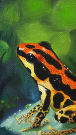 Load image into Gallery viewer, "Gold Legged" Portrait of a Ranitomeya Uakarii Gold Legged Frog || 8x10" Original Oil on Canvas
