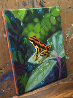 Load image into Gallery viewer, "Gold Legged" Portrait of a Ranitomeya Uakarii Gold Legged Frog || 8x10" Original Oil on Canvas
